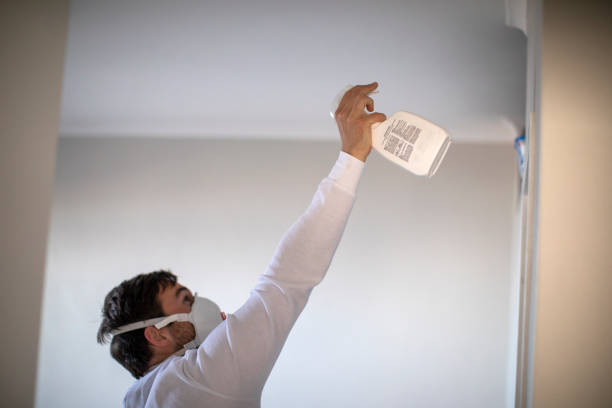 Best Mold Removal and Inspection  in Henderson, NV