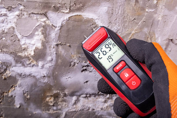 Best Crawl Space Mold Removal  in Henderson, NV