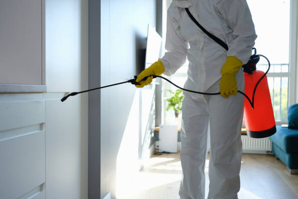 Best Toxic Mold Removal  in Henderson, NV