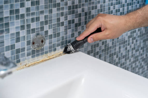 Best Professional Mold Removal  in Henderson, NV